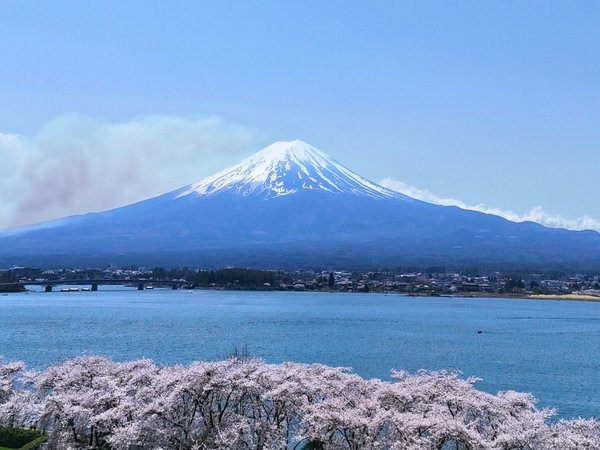 春の河口湖北岸