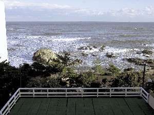 客室からは雄大な太平洋が一望