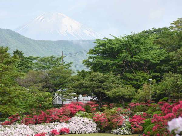 *【庭園】5月のつづじの季節は満開のつつじと富士山を一緒にパシャリ♪最高のフォトスポットです。
