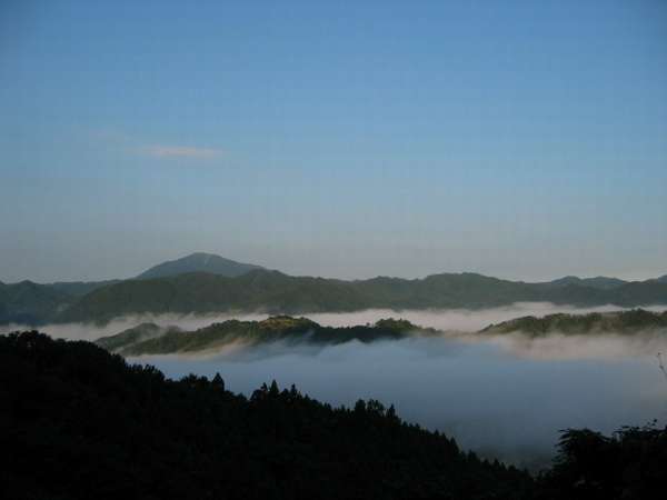 幻想的な朝霧