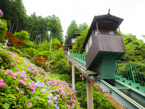 新祖谷温泉 ホテルかずら橋の写真その3