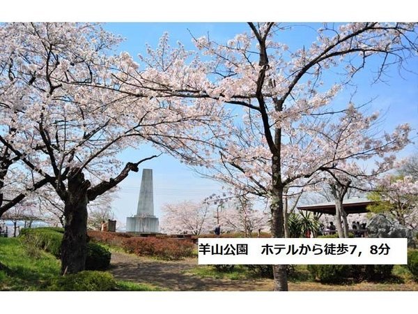 羊山公園の桜ホテルから徒歩7，8分