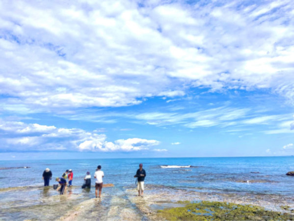 ＜国指定天然記念物＞石見畳ヶ浦で海遊び