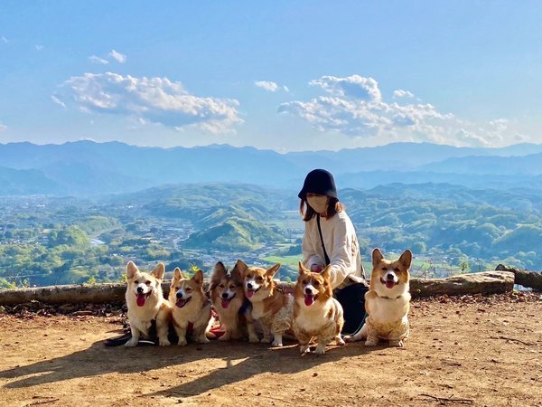 Mahora稲穂山の写真その4