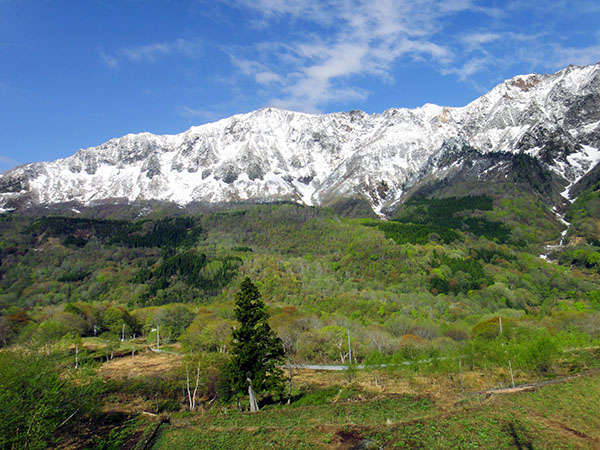 新緑になり始めの残雪に覆われた二百名山鳥甲山