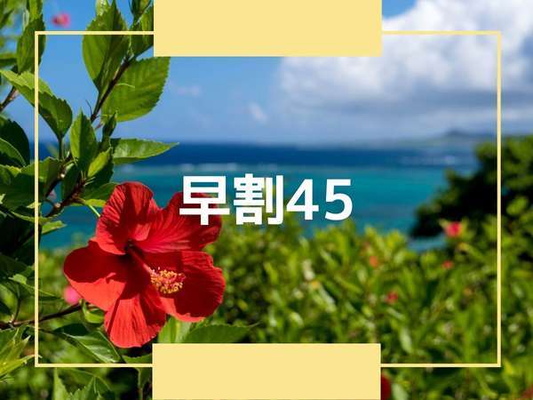 Ｍａｒｕｋａ石垣島のプラン「【早割45】45日前の予約がお得！のんびりとした空間でご滞在を♪（素泊り）」