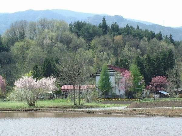 代掻き後の田んぼからの遠景