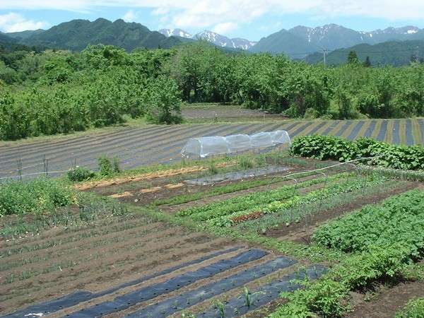 農園民宿かかしの写真その3