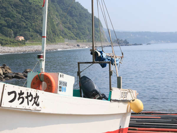 親戚の漁師から新鮮な魚介を仕入れます♪