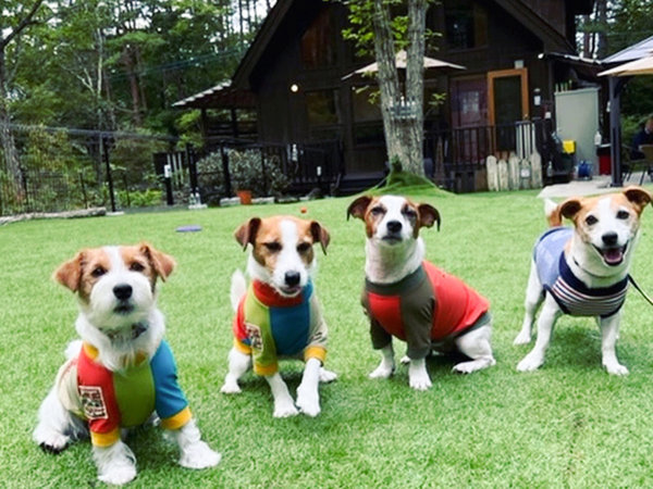 ・【ドッグラン】たくさん遊んで愛犬たちもニッコリ！