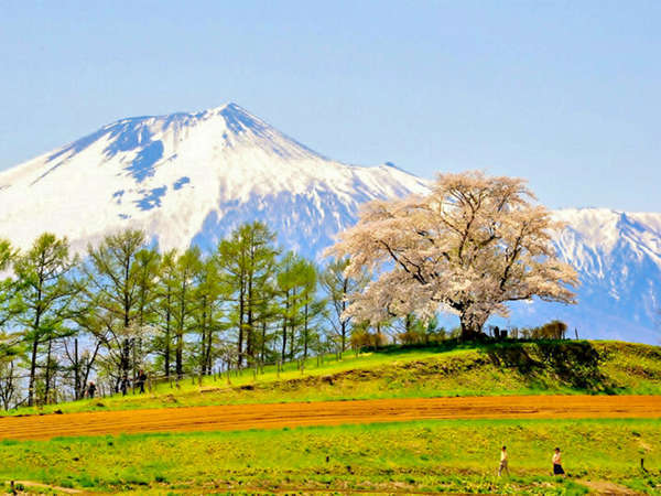 ・四季折々の様々な景色をお楽しみいただけます