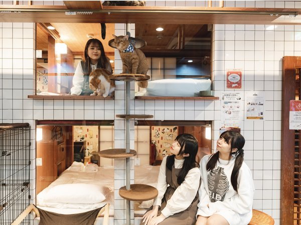 ねこ浴場&ねこ旅籠 保護猫カフェネコリパブリック大阪の写真その3