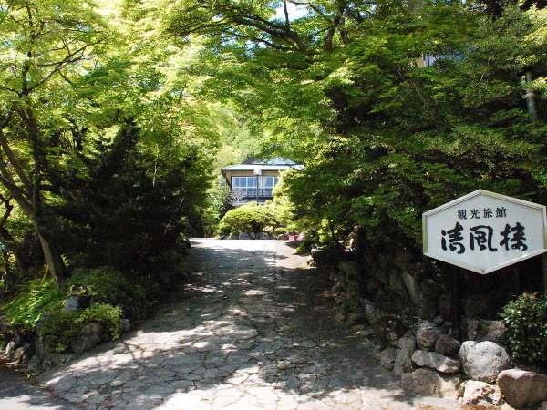 初夏は新緑がまぶしい季節。一番気持ちのよい季節のひとつです。