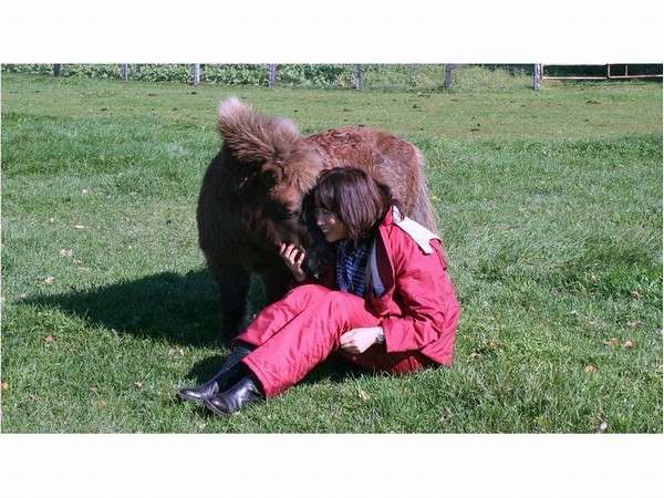 ホースヴィレッジペンション馬の宿の写真その2