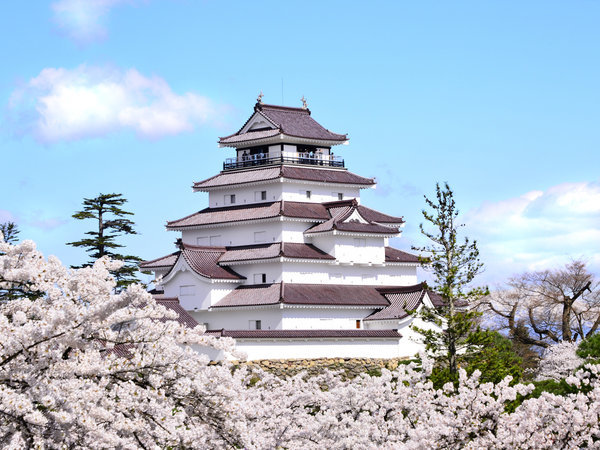 会津若松市のシンボルである鶴ヶ城。公園内ではソメイヨシノを中心に約1,000本が咲き乱れます。