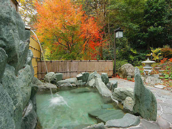 祖谷渓温泉 ホテル秘境の湯の写真その3