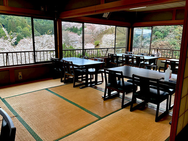 お食事処から眺める桜