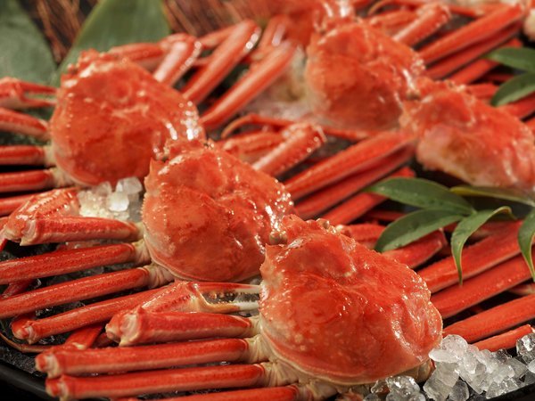 大江戸温泉物語Premium　山中グランドホテルのプラン「★【特定日】【グルメプラン】本ズワイガニ姿まるごと食べ放題付　1泊2食　基本バイキングプラン」