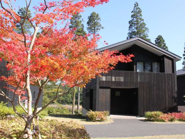 秋のロッジは、まばゆいばかりの紅葉が楽しめます