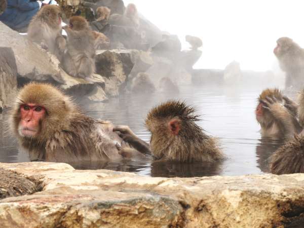 玉久旅館の写真その3