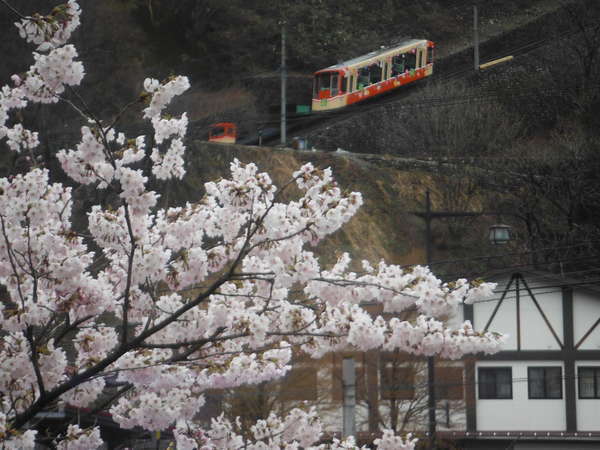 お部屋から立山ケーブルカーが見えます。