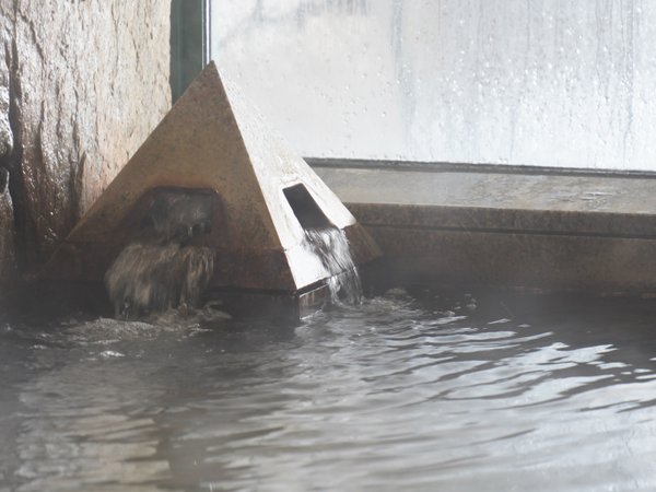 【大浴場】沸き出でるお湯。泉質も抜群です。