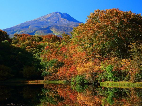 【秋・紅葉の善神沼から見た鳥海山】水面に映る逆さ紅葉もお楽しみの一つ