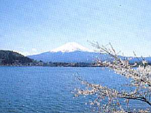 お部屋から望む富士山