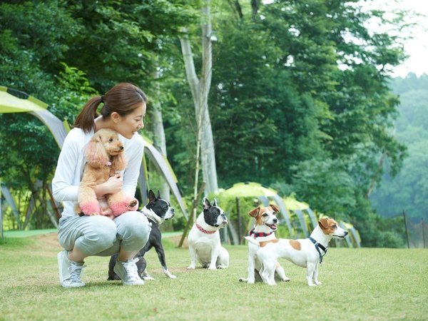 小谷流の里 ドギーズアイランドの写真その2