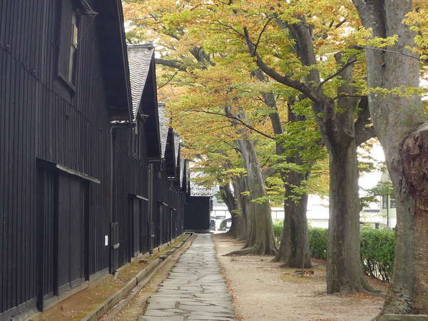 山居倉庫裏、紅葉の欅並木