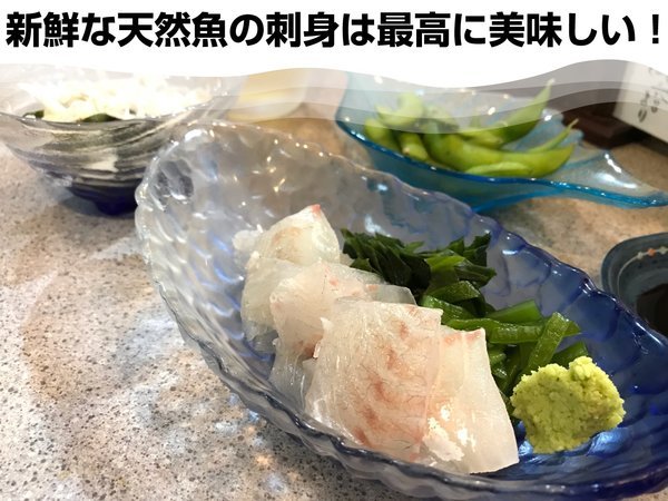 釣れたての天然黒鯛