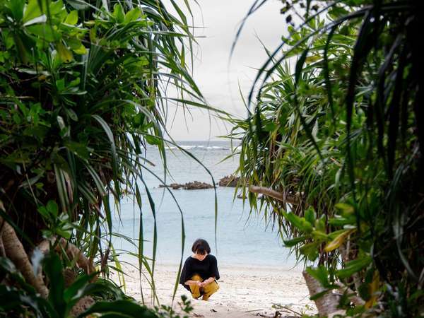 伝泊 徳之島(天城町)の写真その2