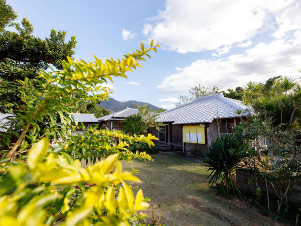 「サンゴ石小屋のある宿」季節のお花が咲きます