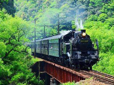 大井川鉄道のSL。乗車も撮影も楽しめます。