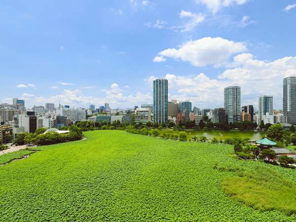 アパホテル〈京成上野駅前〉の写真その2