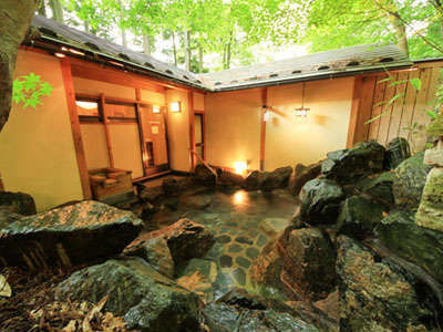 【平成温泉番付】栃木県第1位 にごり湯と美食 やまの宿下藤屋の写真その4