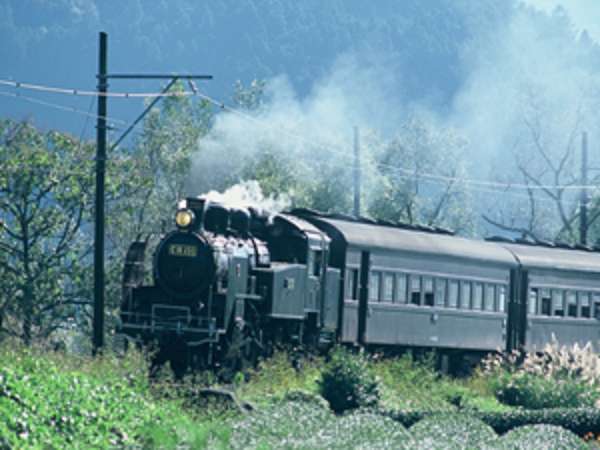 大井川鉄道　ＳＬ乗車