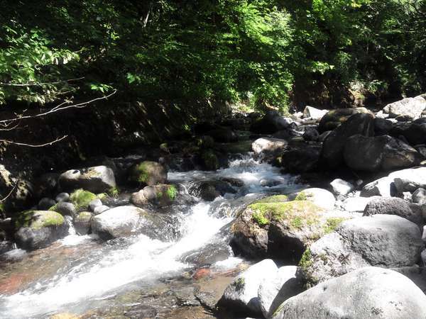 敷地の脇に流れる渓流、岩魚、山女等が釣れます。(トパーズ1,2除く）尚川遊びも出来ます