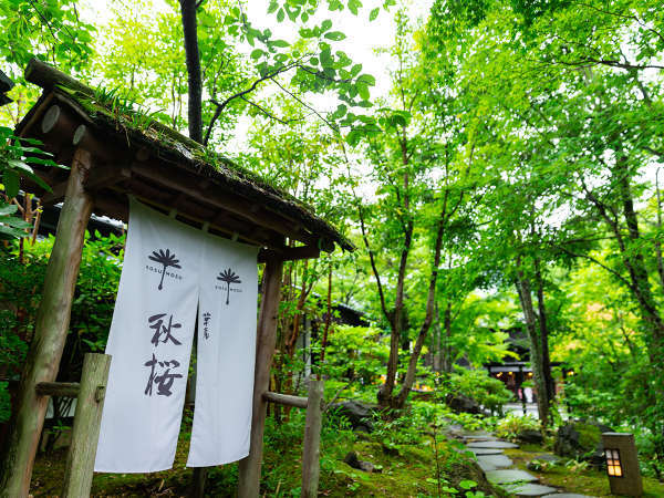 草庵 秋桜(そうあん こすもす)の写真その4