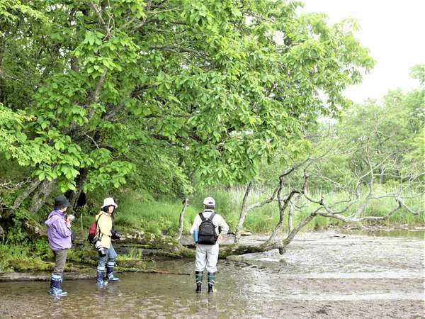 釧路湿原国立公園の特別保護区に立ち入許可を取ったガイドが一番美しい本当の湿原にあなたをご案内します