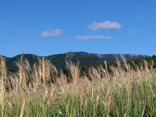 箱音のお宿 なちゅらの写真その5