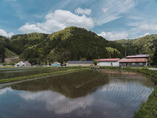 コテージ周辺は、素朴な田舎の風景が広がります。大きな空、小高い山や森。空気をいっぱい吸ってください。