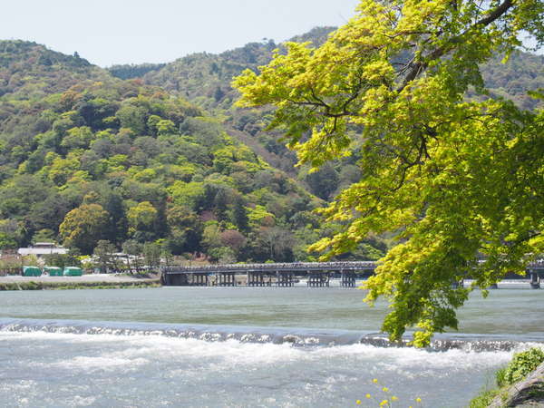 【新緑の嵐山】