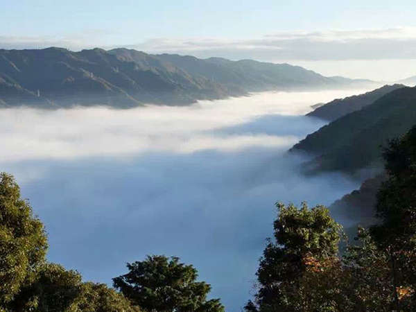 ■早朝の雲海　当館から■当館のある笠置山付近は標高差があり、秋から冬にかけ早朝には雲海を見ることが！