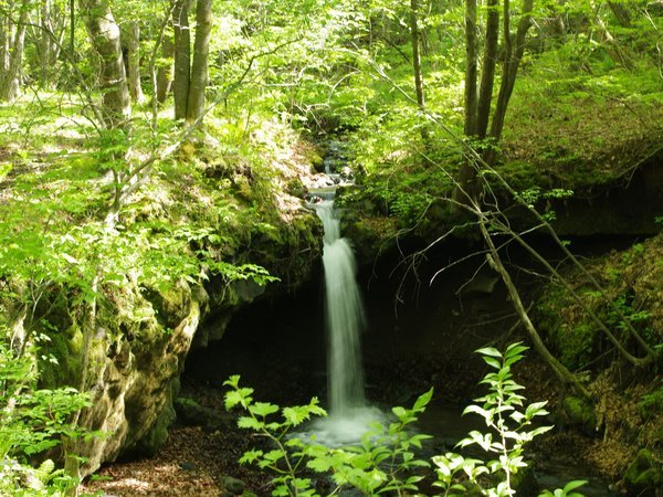 コテージ 北軽井沢ベルエールの森の写真その5