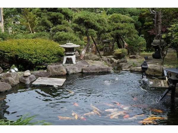 日本庭園　玄関入ってすぐ、窓越しに広がる庭園。中央にある池には鯉が優雅に泳いでおります。