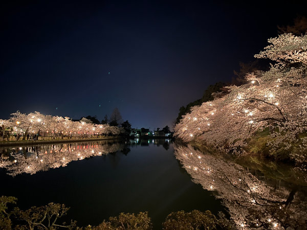 高田城址公園（車：約7分）高田城址公園の夜桜は圧巻です。（開花時期3月下旬から4月中旬）