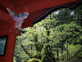 二荒山神社