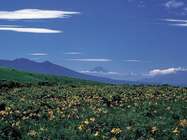 初夏の霧ヶ峰はニッコウキスゲが山一面に咲き、富士山やアルプス、八ヶ岳連峰などの名峰も一望できます。