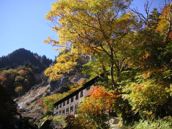 姥湯温泉 桝形屋 の写真その5